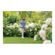 Taille-herbes sans fil Bosch EasyGrassCut 18V-26