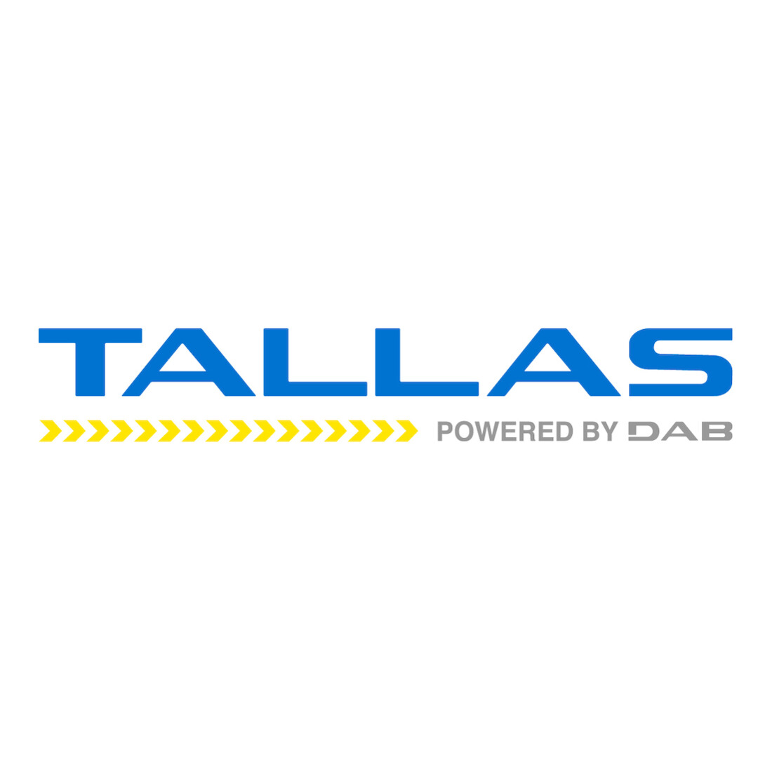 TALLAS Hauswasserautomat D-EBOOST 1100