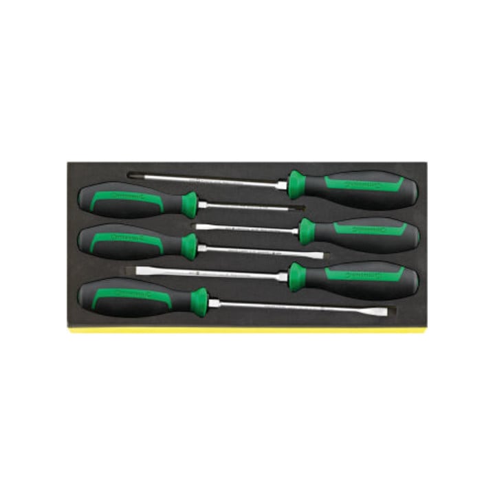 TCS 4622/4632 Jeu de tournevis DRALL+ en plateau TCS 6 pcs.