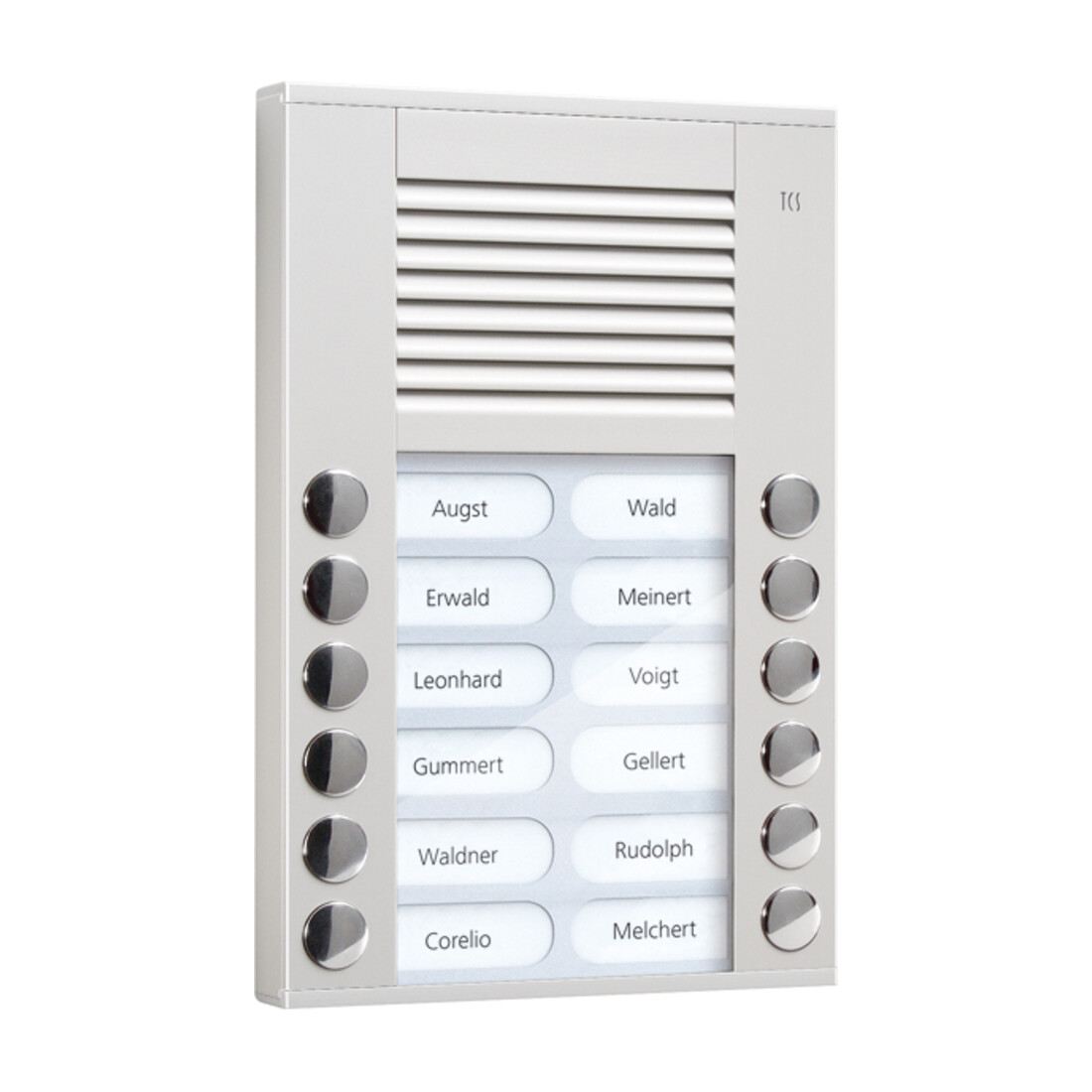 TCS Tür Control Audioaußenstation 2-reihig 12 Tasten AP silber PES12-EN/04