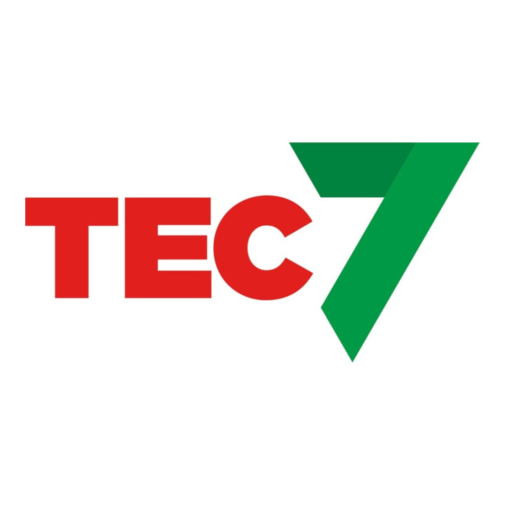 TEC 7 Mastic A-TEC gris 310 ml