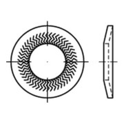 Teckentrup-Sperrkantscheiben C 60 flZnnc SKS 5 flZn K-3