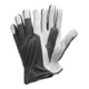 TEGERA Gants 115, cuir de chèvre, taille 11-1