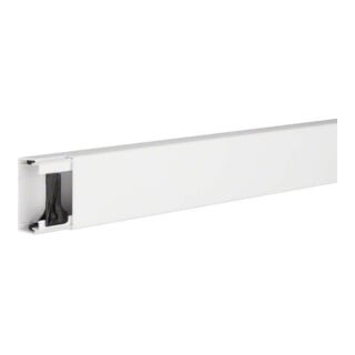Tehalit Canal de gestion de câbles LF 30x60mm vw LF3006009016