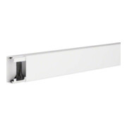Tehalit Canal de gestion de câbles LF 30x60mm vw LF3006009016-1