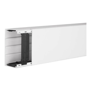 Tehalit Goulotte de câblage 60x110mm blanc trafic LFH601100 vws