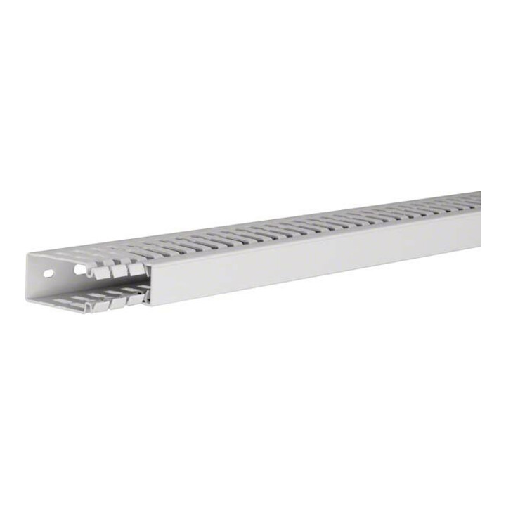 Tehalit Goulotte de câblage 60x25, lgr HA 760025 lgr
