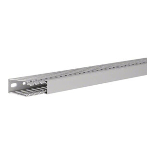Tehalit Goulotte de câblage 60x25 mm BA7 60025 gr