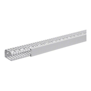Tehalit Goulotte de câblage 60x40 mm BA7 60040 gr