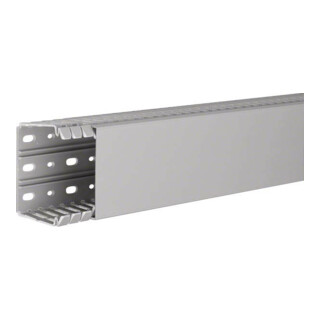 Tehalit Goulotte de câblage 60x80 mm BA7 60080 gr