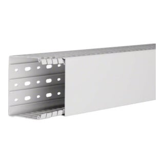 Tehalit Goulotte de câblage 80x100, lgr HA 780100 lgr