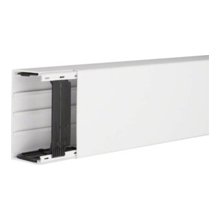 Tehalit Goulotte de câblage LF 60x110 mm vw LF6011009016
