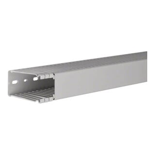 Tehalit Goulotte de câblage PVC BA6 80040B gr