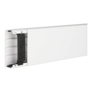Tehalit Goulotte de gestion de câbles LF 40x110mm vw LF4011009016-1