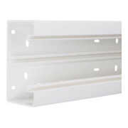 Tehalit Goulotte de plinthe-UT hfr 65x130 vws BRH65130/1-1