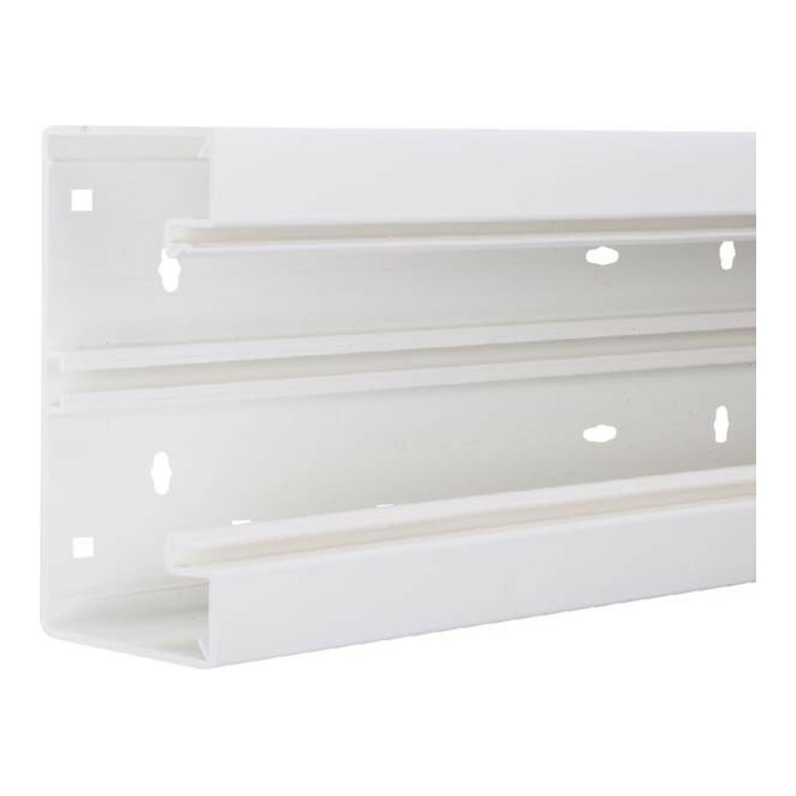 Tehalit Goulotte de plinthe-UT hfr 65x130 vws BRH65130/1