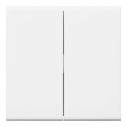 Tehalit Interrupteur à bascule double pour interrupteur/interrupteur/poussoir GW2B vws-1