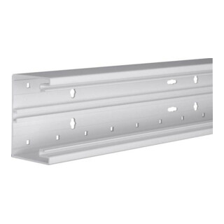 Tehalit Partie inférieure de goulotte de plinthe 65x100mm OT 80mm Lgr BR6510017035