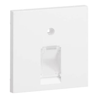 Tehalit Plaque centrale UAE 1 voie pour cadre de façade 55 GZUAE1A vws