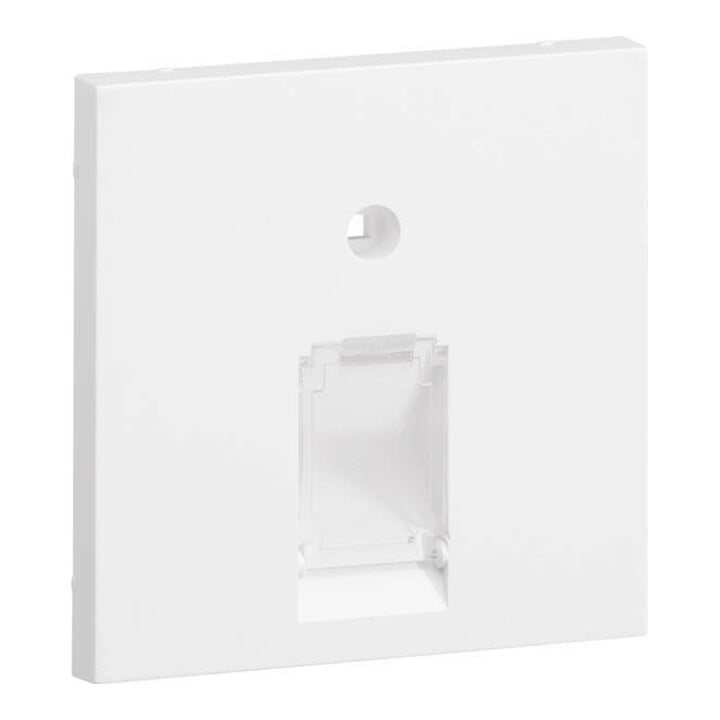 Tehalit Plaque centrale UAE 1 voie pour cadre de façade 55 GZUAE1A vws