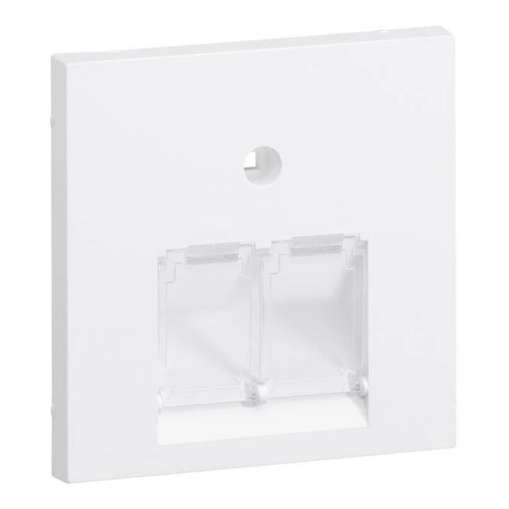 Tehalit Plaque centrale UAE 2 fois pour cadre de façade 55 GZUAE2A vws