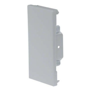 Tehalit Plaque de finition BRS 651306 galvanisée