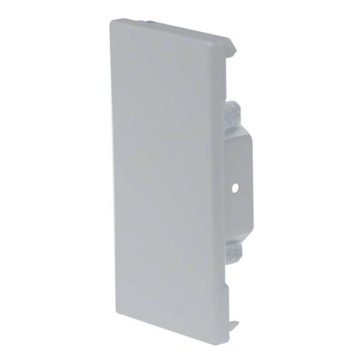 Tehalit Plaque de finition BRS 651306 galvanisée