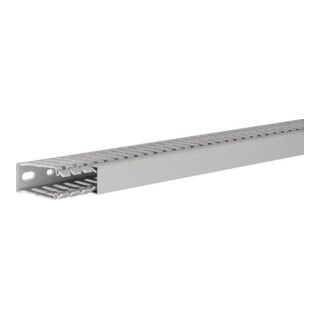 Tehalit Verdrahtungskanal 60x25mm BA7 60025 gr