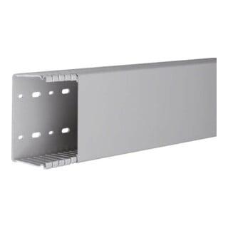 Tehalit Verdrahtungskanal BA6 60100B gr