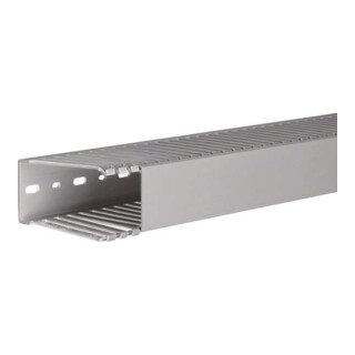 Tehalit Verdrahtungskanal DNG 100050 gr