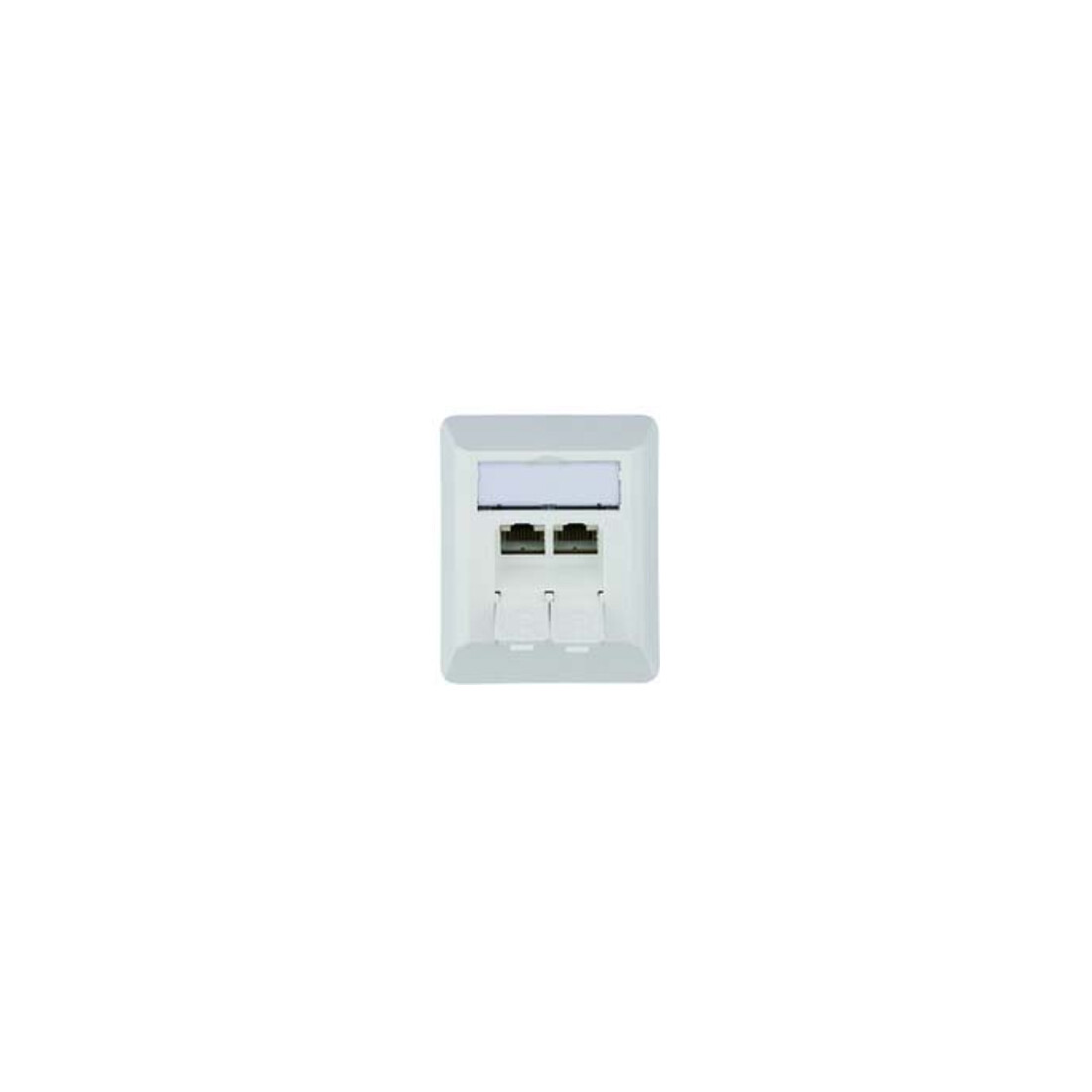 Telegärtner Anschlussdose AMJ45 8/8K Ap Cat6A aws 80x65mm 100023002