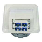 Telegärtner Anschlussdose OAD/S 2xST/SC-Duplex aws 100022457-3