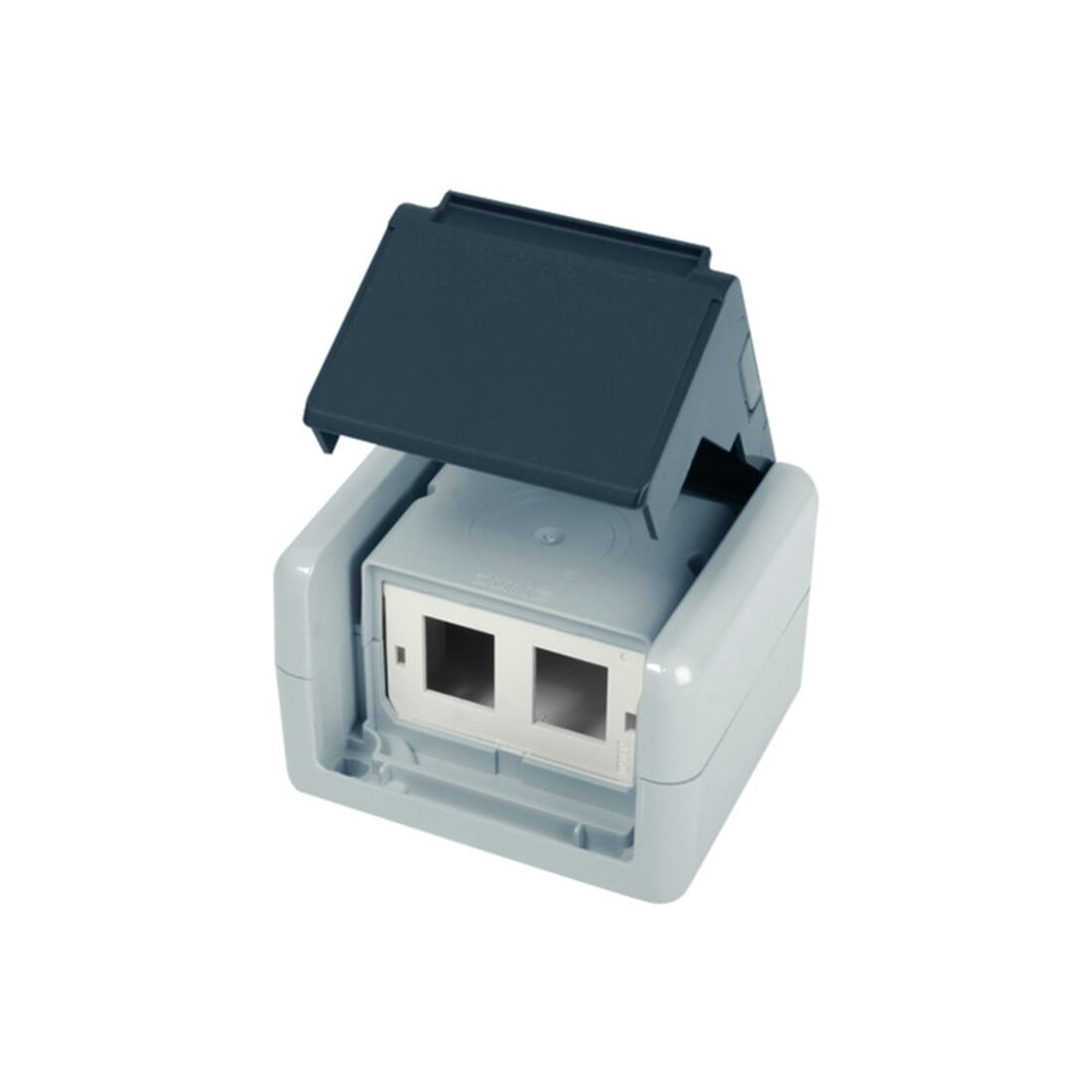 Telegärtner AP-Gehäu. IP44,75x86x58,gr für 2xAMJ-Modul 100021370