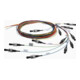 Telegärtner LWL Pigtail-Set 12xSC 50/125 OM2 TN-PS-12SC-50-OM2-1