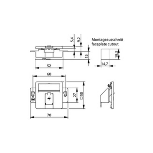 Telegärtner Modul-Aufnahme 1fach UP/50 aws leer f.BR 100021415
