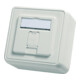 Telegärtner Modul-Aufnahme AP 80x80 1fach aws leer 100021381-4