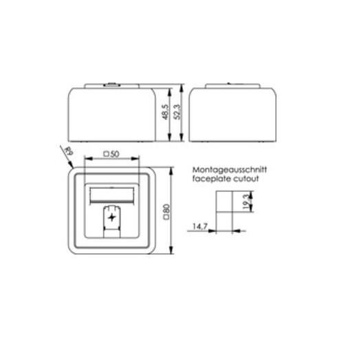 Telegärtner Modul-Aufnahme AP 80x80 1fach aws leer 100021381
