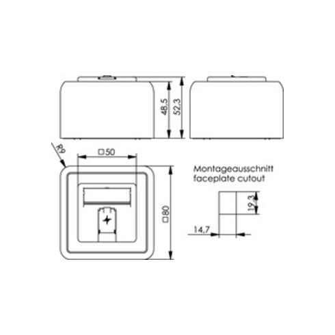 Telegärtner Modul-Aufnahme AP 80x80 1fach aws leer 100021381