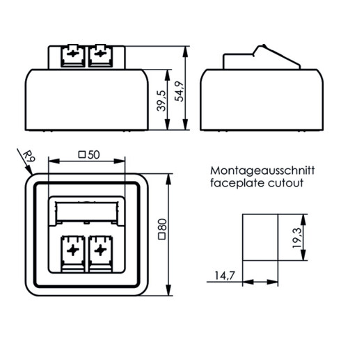 Telegärtner Modul-Aufnahme AP 80x80 2fach aws leer 100021382