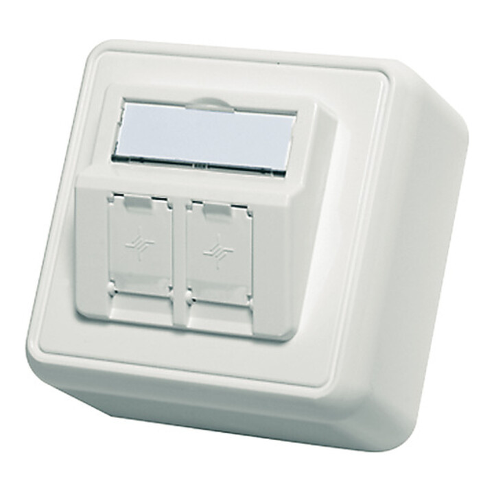 Telegärtner Modul-Aufnahme AP 80x80 2fach aws leer 100021382