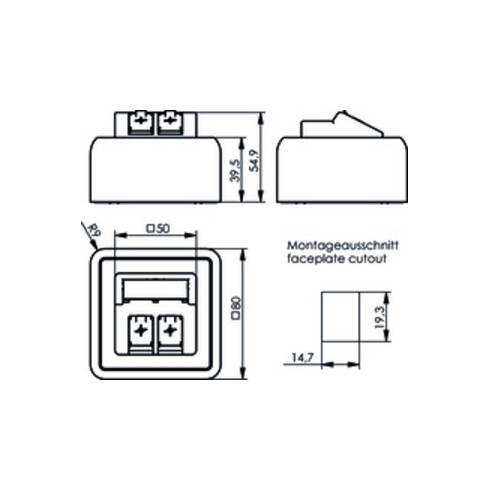 Telegärtner Modul-Aufnahme AP 80x80 2fach aws leer 100021382