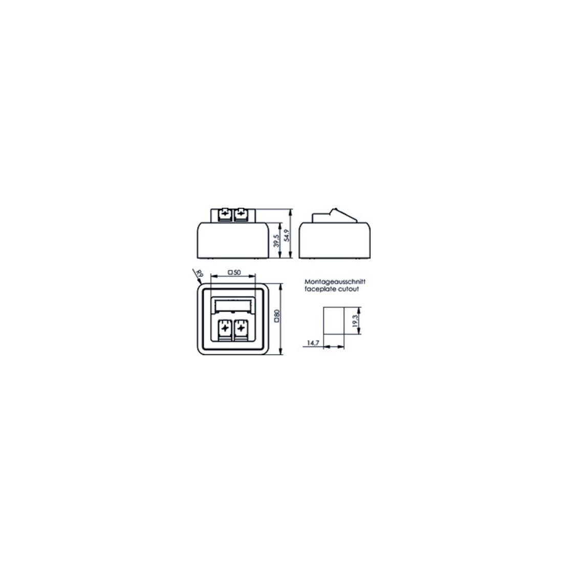 Telegärtner Modul-Aufnahme AP 80x80 2fach aws leer 100021382