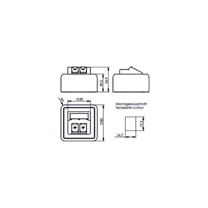 Telegärtner Modul-Aufnahme AP 80x80 2fach aws leer 100021382