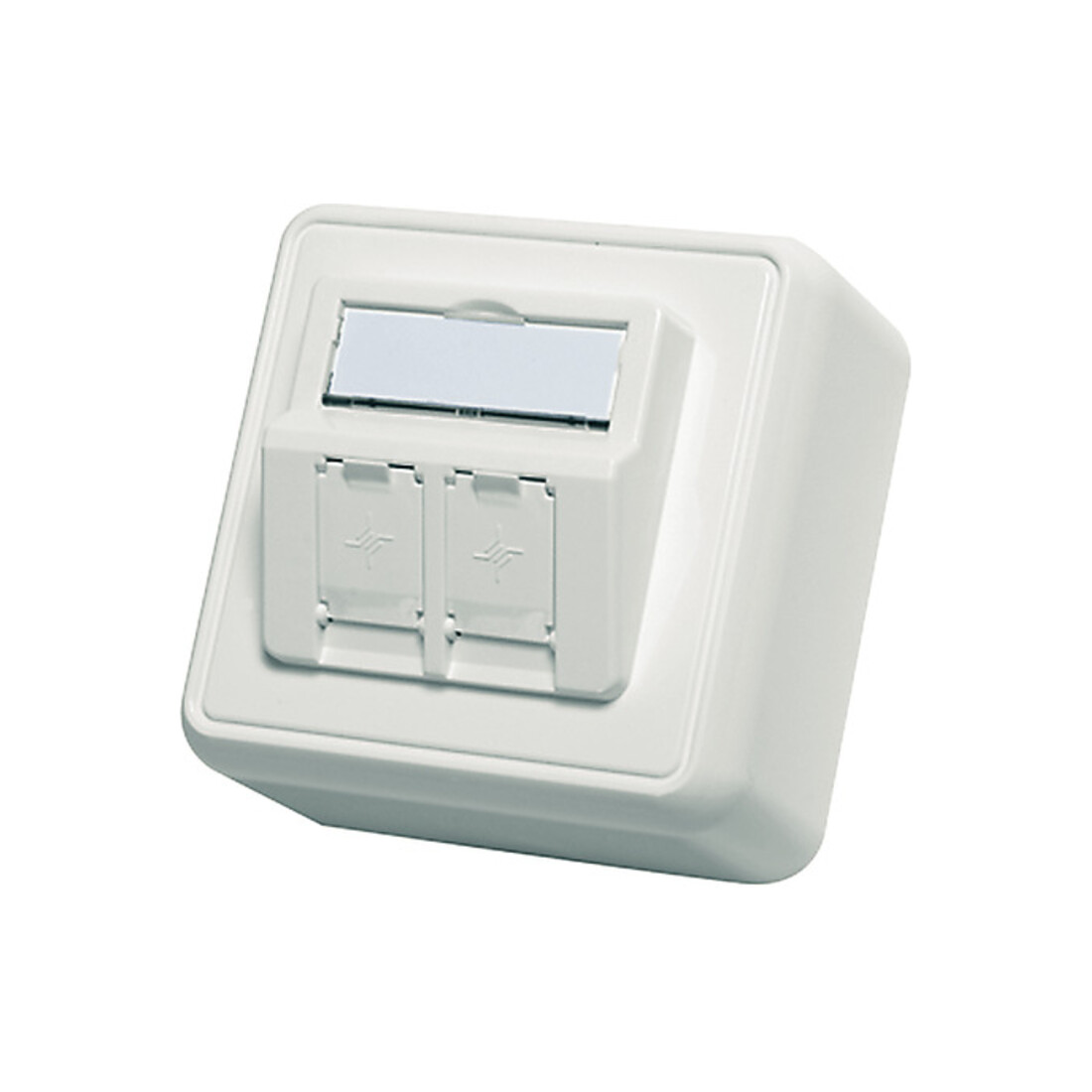 Telegärtner Modul-Aufnahme AP 80x80 2fach aws leer 100021382