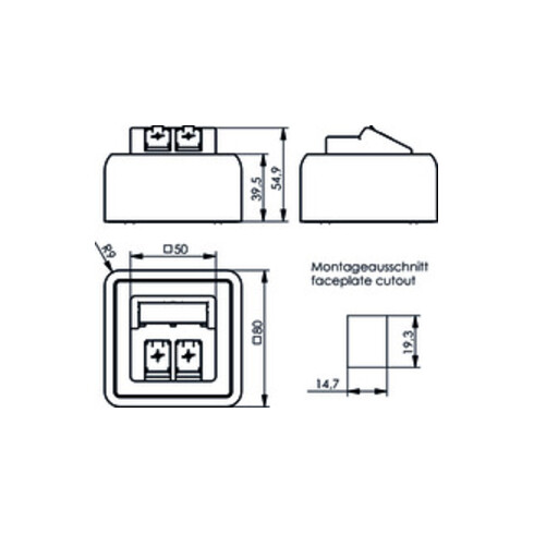 Telegärtner Modul-Aufnahme AP 80x80 2fach aws leer 100021382