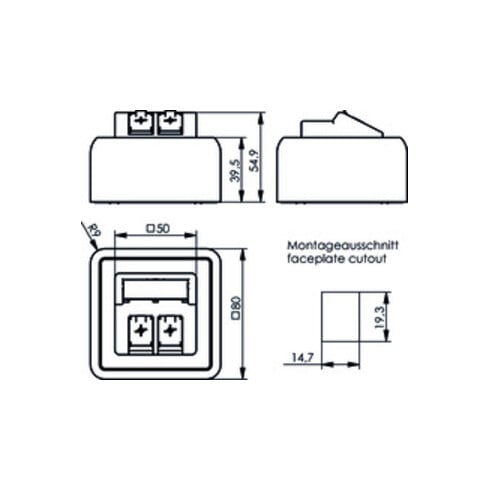 Telegärtner Modul-Aufnahme AP 80x80 2fach aws leer 100021382