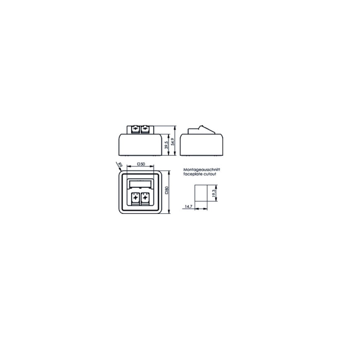 Telegärtner Modul-Aufnahme AP 80x80 2fach aws leer 100021382