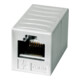 Telegärtner AMJ-coupleur K Cat.6 blanc alpin RJ45 femelle-femelle