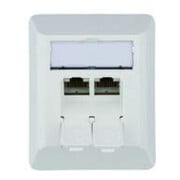 Telegärtner Boîtier de connexion AMJ45 8/8K Ap Cat6A aws 80x65mm 100023002-1
