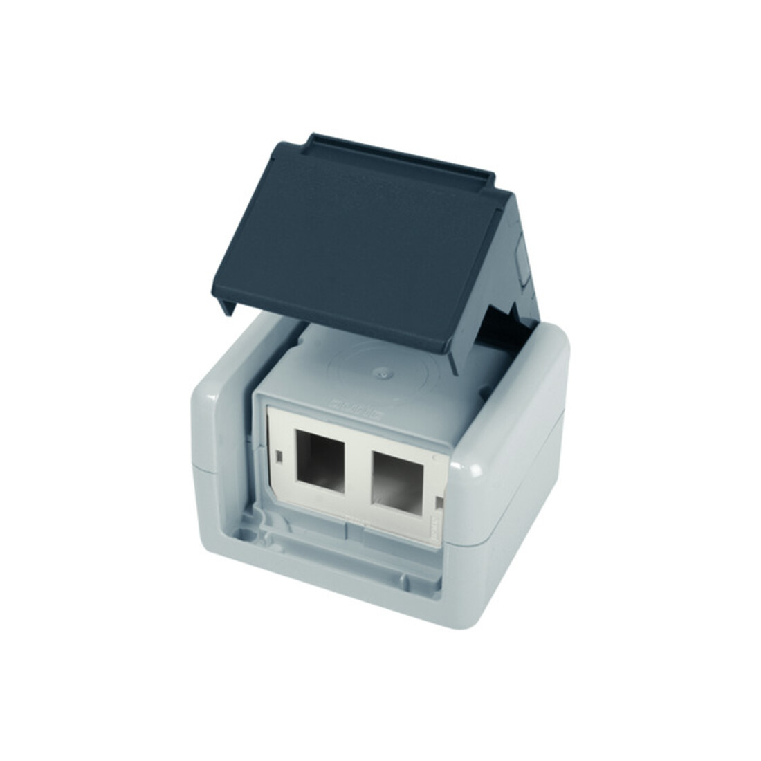 Telegärtner Boîtier encastré IP44, 75×86×58, gris pour 2x module AMJ 100021370